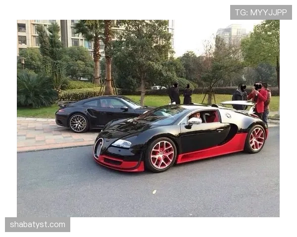 富里睡醒发现豪宅又多了一辆布加迪