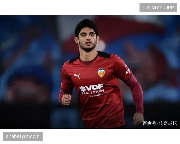 瓦伦西亚面临保级风险，赛季走势与稳定性考验分析