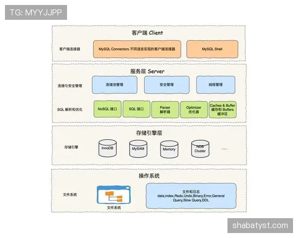 禁赛规则详解：关键判罚标准与执行流程解析