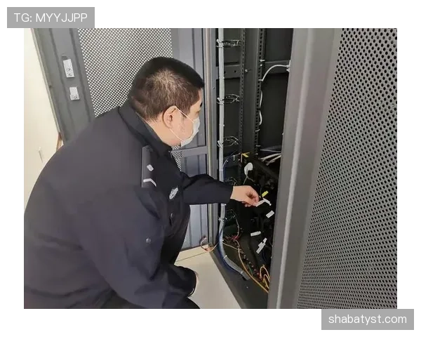 14秒重置规则是什么意思？实战中如何正确应用？